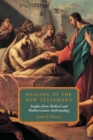 Image for Healing in the New Testament : Insights from Medical and Mediterranean Anthropology