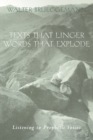 Image for Texts That Linger, Words That Explode