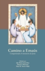 Image for Camino a Emas : Compartiendo el ministerio de Jess