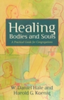 Image for Healing bodies and souls  : a practical guide for congregations