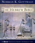 Image for The Hebrew Bible  : a brief socio-literary introduction