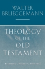 Image for Theology of the Old Testament : Testimony, Dispute, Advocacy