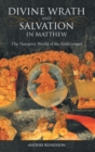Image for Divine Wrath and Salvation in Matthew : The Narrative World of the First Gospel