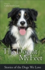 Image for The Dog at My Feet : Stories of the Dogs We Love