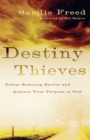 Image for Destiny Thieves - Defeat Seducing Spirits and Achieve Your Purpose in God