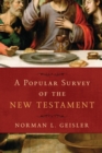 Image for A Popular Survey of the New Testament