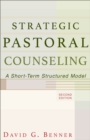 Image for Strategic Pastoral Counseling – A Short–Term Structured Model