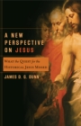 Image for A New Perspective on Jesus : What the Quest for the Historical Jesus Missed