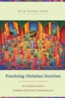 Image for Practicing Christian Doctrine - An Introduction to Thinking and Living Theologically