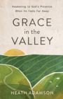 Image for Grace in the Valley