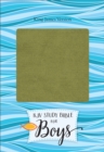 Image for KJV Study Bible for Boys Olive/Brown LeatherTouch
