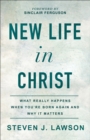 Image for New Life in Christ