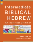 Image for Intermediate Biblical Hebrew : An Illustrated Grammar