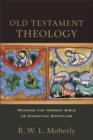 Image for Old Testament Theology – Reading the Hebrew Bible as Christian Scripture