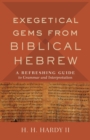 Image for Exegetical Gems from Biblical Hebrew : A Refreshing Guide to Grammar and Interpretation