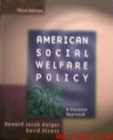 Image for American Social Welfare Policy