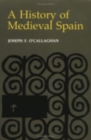 Image for A History of Medieval Spain