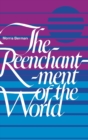 Image for The Reenchantment of the World