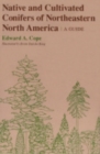 Image for Native and Cultivated Conifers of Northeastern North America