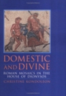 Image for Domestic and Divine : Roman Mosaics in the House of Dionysos