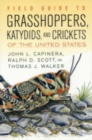 Image for Field Guide to Grasshoppers, Katydids, and Crickets of the United States