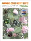 Image for Armored scale insect pests of trees and shrubs