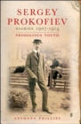 Image for Diaries 1907-1914 : Prodigious Youth