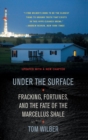 Image for Under the Surface