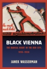 Image for Black Vienna