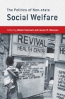 Image for The politics of non-state social welfare