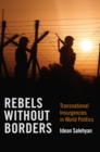 Image for Rebels without borders  : transnational insurgencies in world politics