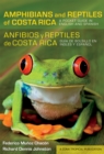 Image for Amphibians and Reptiles of Costa Rica/Anfibios y reptiles de Costa Rica : A Pocket Guide in English and Spanish/Guia de bolsillo en ingles y espanol