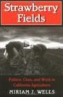 Image for Strawberry fields  : politics, class, and work in California agriculture