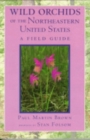 Image for Wild Orchids of the Northeastern United States