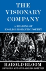 Image for The Visionary Company : A Reading of English Romantic Poetry