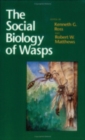 Image for The Social Biology of Wasps