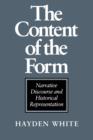 Image for The content of form  : narrative discourse and historical representation