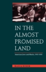 Image for In the Almost Promised Land