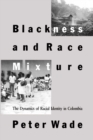 Image for Blackness and Race Mixture