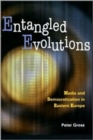 Image for Entangled evolutions  : media and democratization in Eastern Europe