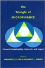 Image for The triangle of microfinance  : financial sustainability, outreach, and impact