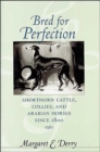 Image for Bred for perfection  : shorthorn cattle, collies, and arabian horses since 1800