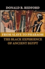 Image for From Slave to Pharaoh : The Black Experience of Ancient Egypt