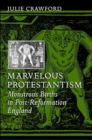 Image for Marvelous Protestantism