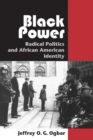 Image for Black power  : radical politics and African American identity