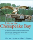 Image for Life in the Chesapeake Bay