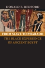 Image for From slave to pharaoh  : the black experience of ancient Egypt