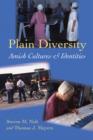 Image for Plain diversity  : Amish cultures and identities