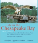 Image for Life in the Chesapeake Bay