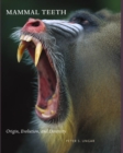 Image for Mammal Teeth: Origin, Evolution, and Diversity